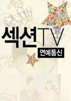 Section TV cover